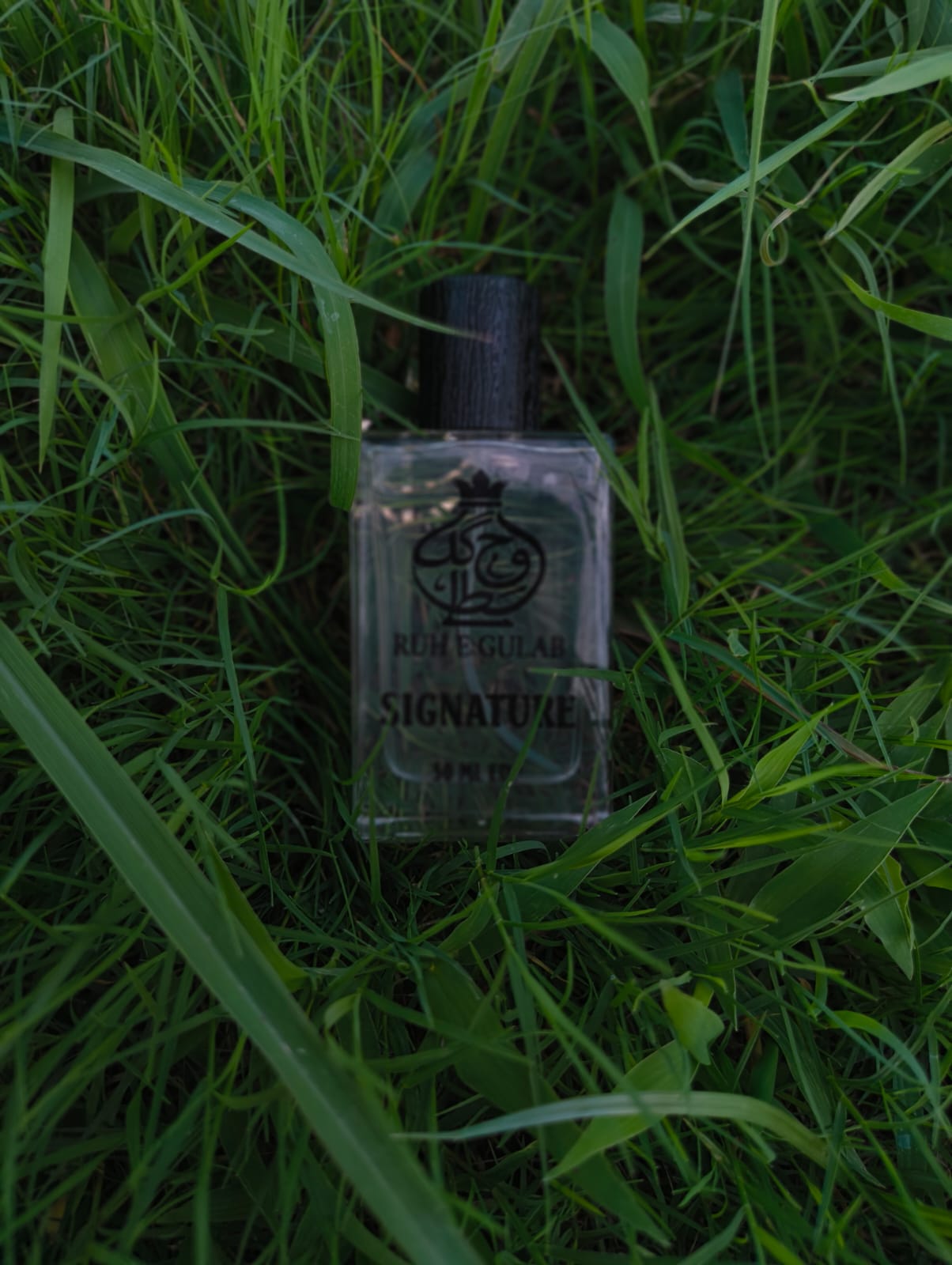 Signature 50ml